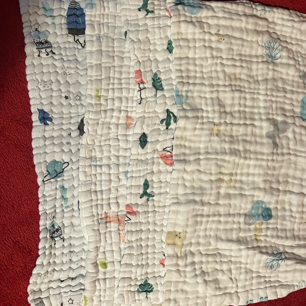 Aden + Anais Muslin Burp Cloths - Multicolor